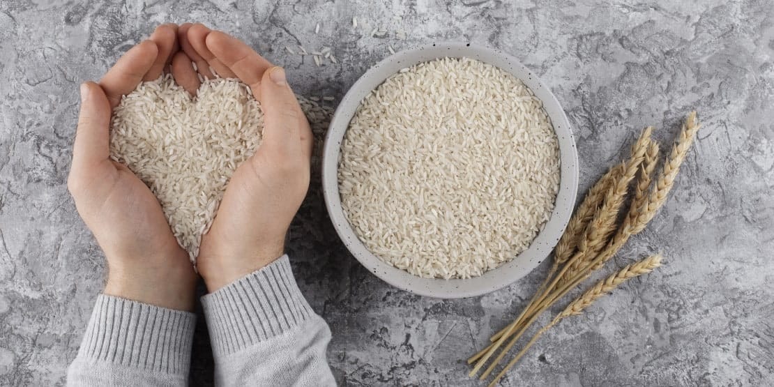 Riz de Camargue