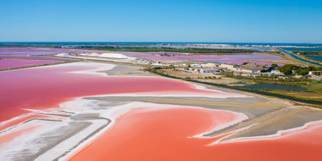 Le sel de Camargue