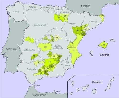 L'huile d'olive en Espagne