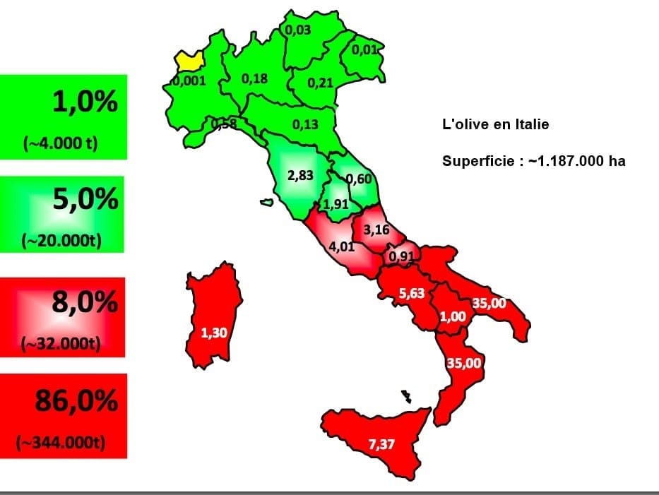 L'oliviculture en Italie