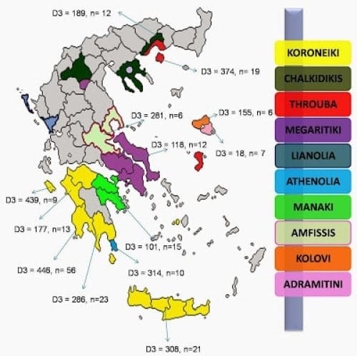 Variétés d'olives en Grèce