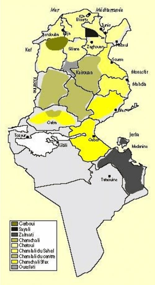 Variétés d'oliviers à huile en Tunisie