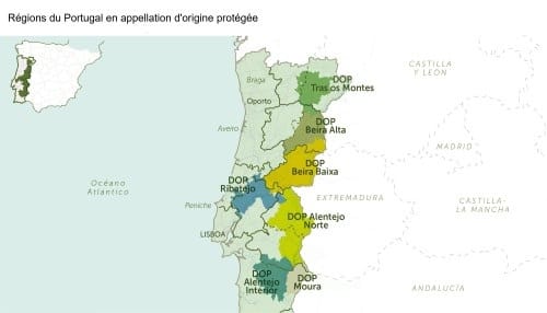 Huile d'olive, les régions en AOP au Portugal