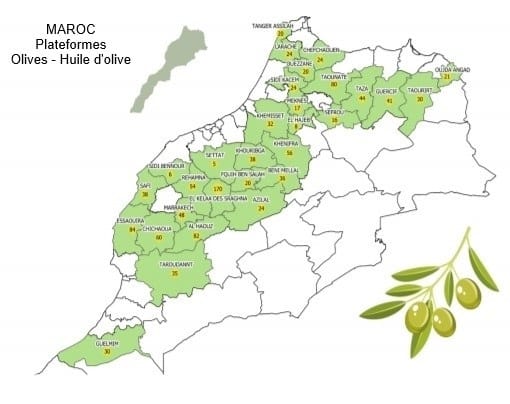 Plateformes olives et huile d'olive au Maroc