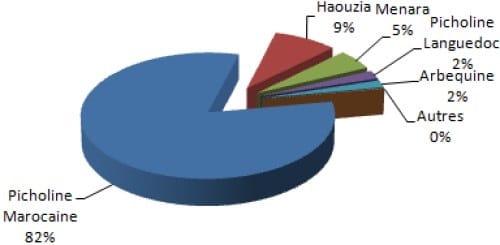 Exemple de répartition d'olives au Maroc sur la zone d'action du Haouz