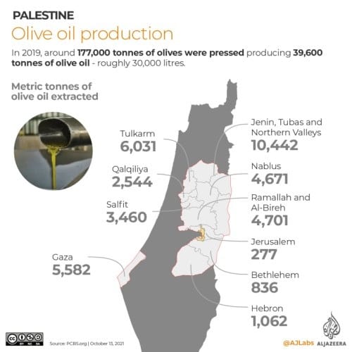 Production d'huile d'olive en Palestine