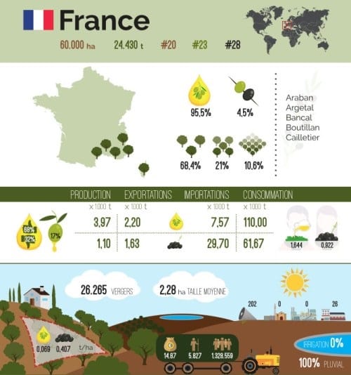 L'oléiculture en France, les chiffres.