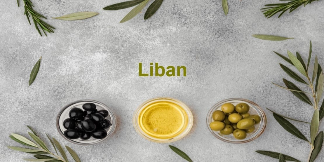 olives et huile d'olive au Liban