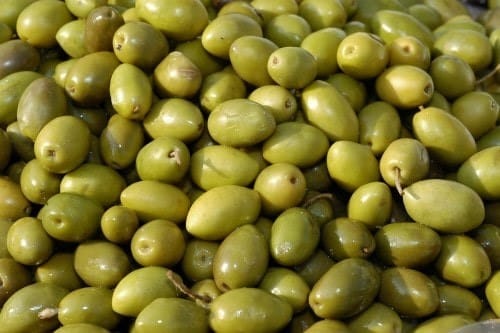 Grossiste en Olives Picholine