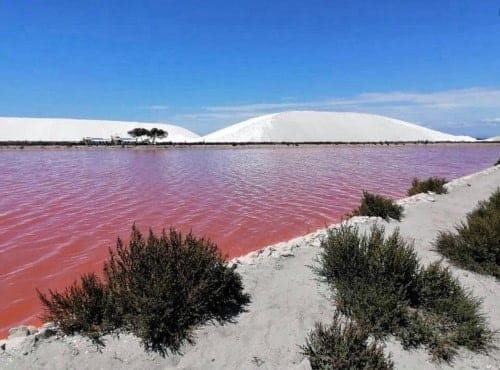 Les salins d'Aigues-Mortes