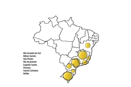 Régions d'implantation des oliveraies au Brésil