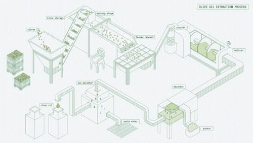 Processus de fabrication de l'huile d'olive