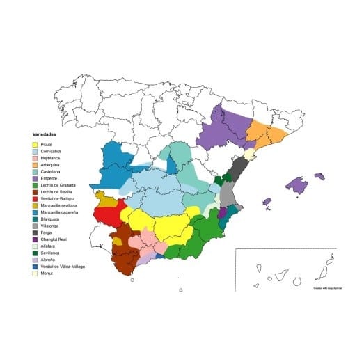 Les variétés d'olives en Espagne