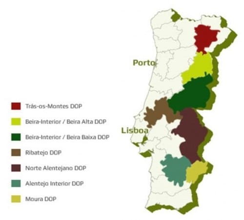 Les huiles d'olive AOP DOP au Portugal