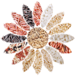 Bongran Riz de Camargue