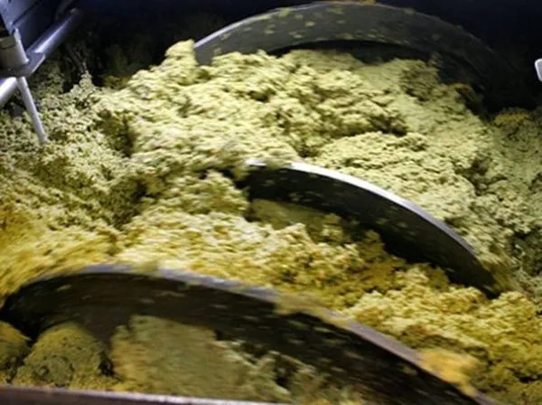 Broyage des olives avec machine à marteaux