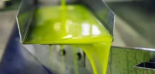 L'extraction de l'huile d'olive