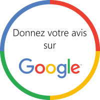 Logo avis Google