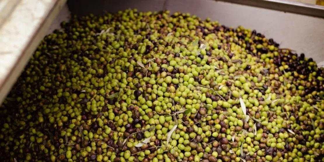 Olives à façon Les Délices de l'Olivier