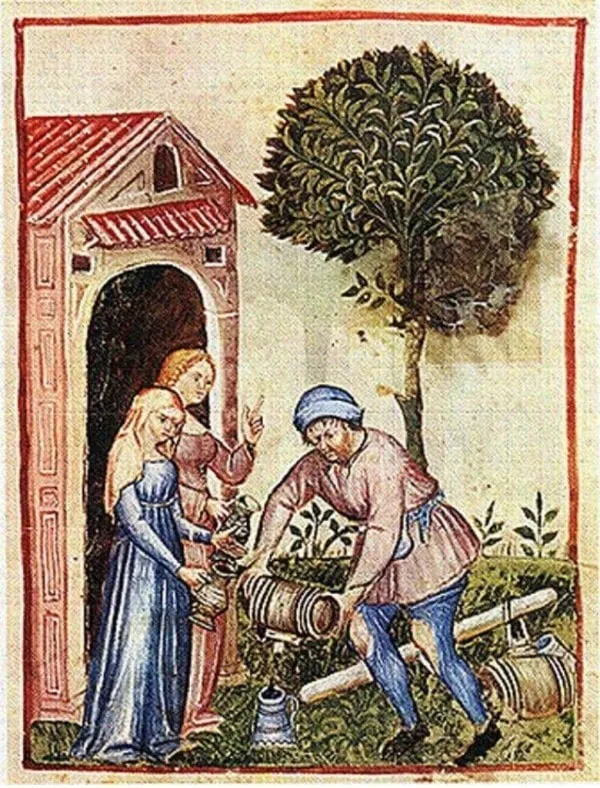 Huile d'olive au Moyen Âge
