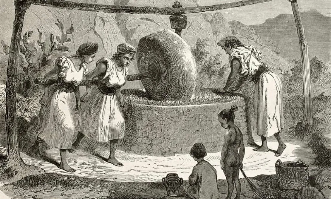 L'huile d'olive dans l'histoire