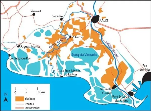 Rizières en Camargue - Les Délices de l'Olivier