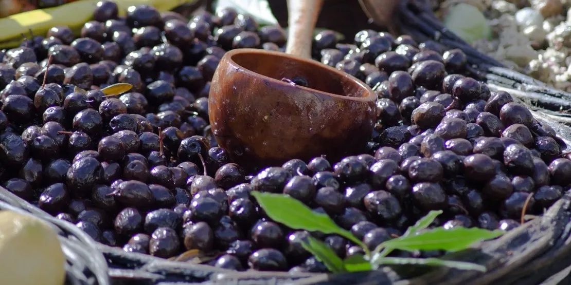 Olives noires, guide d'achat Les Délices de l'Olivier